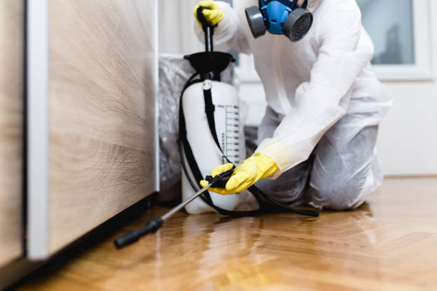 Best Flea Control Services  in Honeygo, MD
