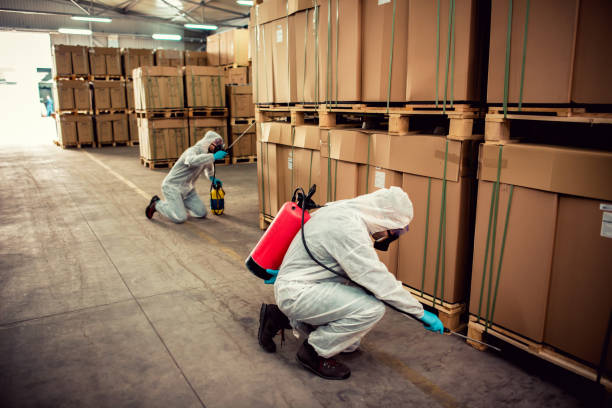 Best Exterminator Services  in Honeygo, MD