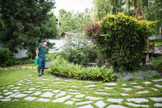 Best Affordable Pest Control Services  in Honeygo, MD