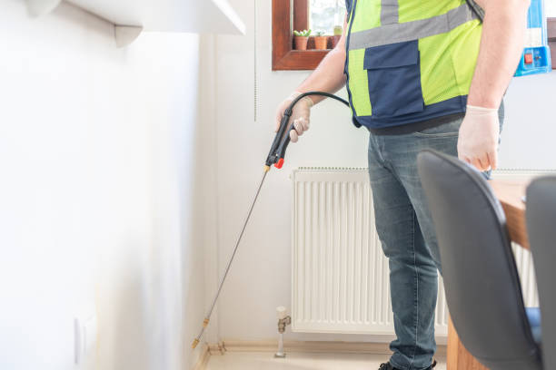 Best Rat Extermination Near Me  in Honeygo, MD