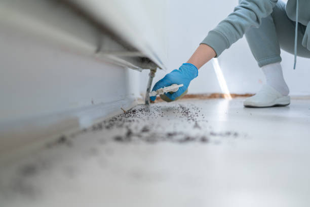 Best Pest Control Near Me  in Honeygo, MD