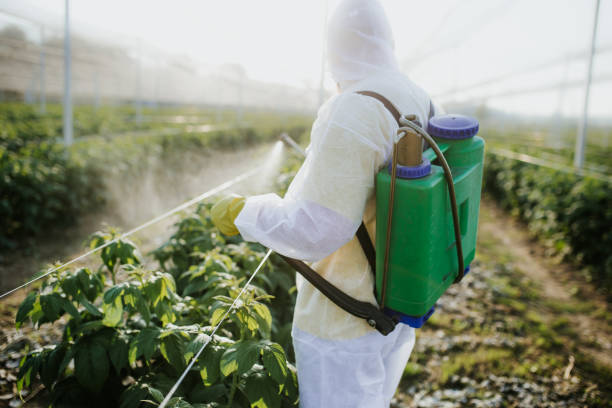 Best Pest Control for Businesses  in Honeygo, MD
